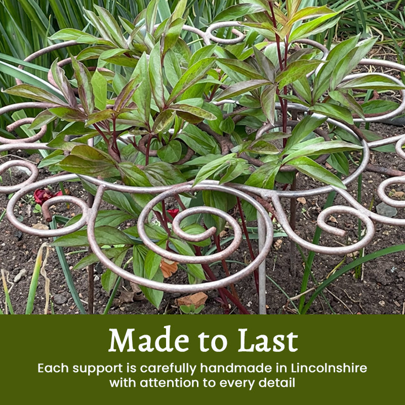 🌸 Plant Support – Because Beautiful Flowers Need Quiet Support
