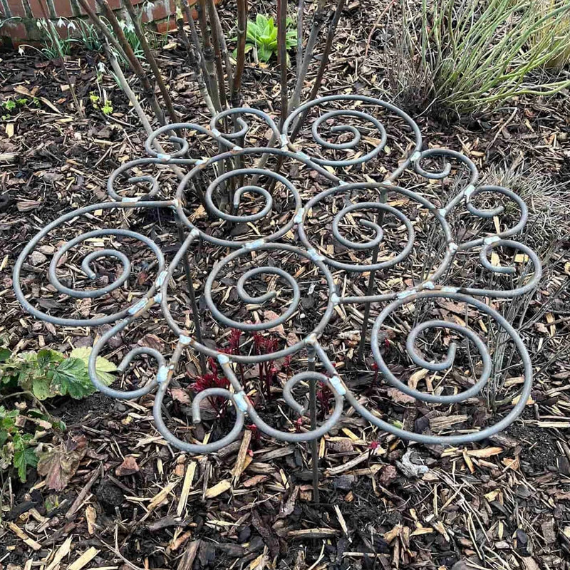 🌸 Plant Support – Because Beautiful Flowers Need Quiet Support